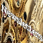 Newsletter copy